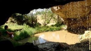 038c410662a5b6bc507eb120c05ddcc0_524_800