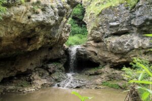 img_247968_0144177001507038739