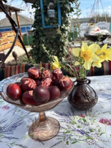 668270547_4476831705881441_6642341171700351022_n